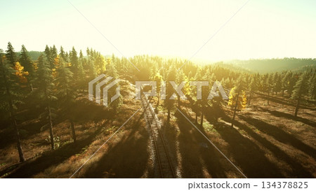 Golden sunlight bathes a forest in warm hues as shadows stretch across railway tracks. Tall trees with autumn colors create a tranquil atmosphere, inviting reflection and appreciation of nature. 134378825