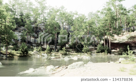 A peaceful scene unfolds along a riverbank surrounded by tall trees. Sunlight glimmers on the water, creating a tranquil atmosphere perfect for relaxation and nature appreciation. 134378836