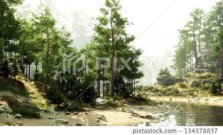 Sunlight filters through tall trees by the riverbank. Soft waves gently lap against the shore, creating a peaceful atmosphere in this beautiful natural landscape. 134378837