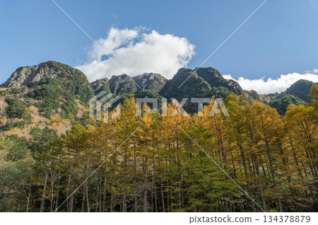Autumn in Kamikochi: Autumn leaves of larch forest and the Hotaka mountain range 134378879