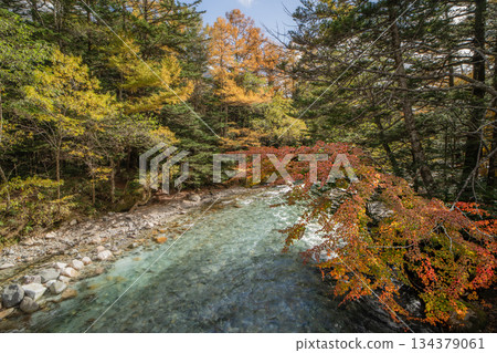Kamikochi Autumn Yodogawa and Hotaka Mountain Range 134379061