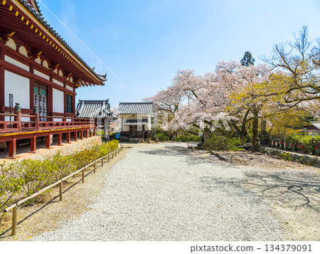 【奈良縣】大和郡山市八田寺(金剛山寺)(拍攝於2025年4月9日) 【奈良縣】大和郡山市八田寺(金剛山寺)(拍攝於2025年4月9日) 134379091