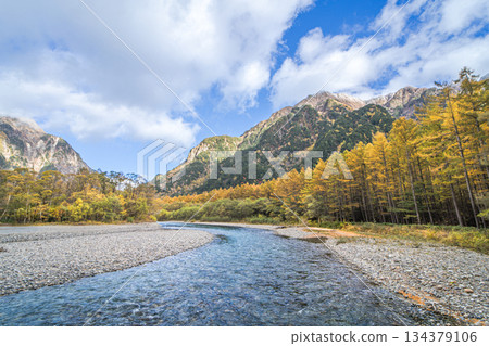 Autumn in Kamikochi: Azusa River and the Hotaka Mountain Range, larch forest with autumn leaves Autumn in Kamikochi: Azusa River and the Hotaka Mountain Range, larch forest with autumn leaves 134379106