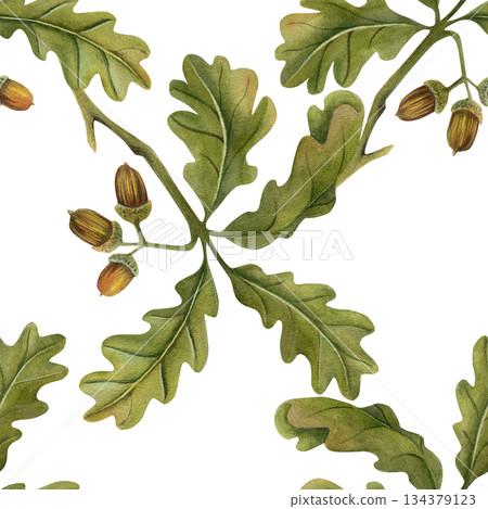 Autumn seamless pattern with acorns on a branch. Watercolor illustrations. Hand-drawn realistic oak tree with brown nuts on a branch. Isolated on a transparent background. For scrapbooking, textiles. 134379123
