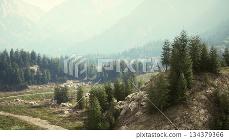 A tranquil scene unfolds in a vast mountain landscape, where lush green forests meet soft rolling hills. The light casts a gentle glow on the rocky terrain, inviting peace. A tranquil scene unfolds in a vast mountain landscape, where lush green forests meet soft rolling hills. The light casts a gentle glow on the rocky terrain, inviting peace. 134379366