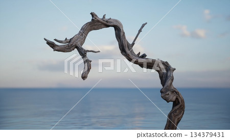 A unique piece of driftwood stands gracefully above the calm ocean, with soft clouds reflecting gentle hues in the evening sky. The scene evokes peace and tranquility. 134379431