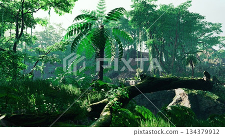 A vibrant forest scene showcases towering palm trees surrounded by lush greenery. Sunlight filters through the canopy, creating a serene atmosphere filled with life and tranquility. 134379912