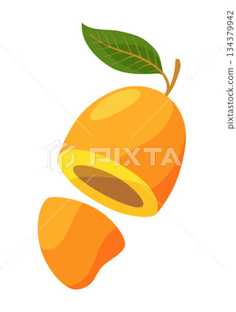 Half mango, tropical fruit vector illustration Half mango, tropical fruit vector illustration 134379942