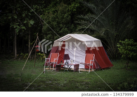 Camping tents at morning, vintage cabin tents, antique oil lamps, retro chairs, and a group of camping tents with outdoor coffee-making facilities on wooden tables in a forest camping area. 134379999