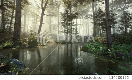 Soft morning light filters through tall trees, creating a tranquil scene by a quiet pond. The water reflects the lush greenery and mist, inviting peace and contemplation. 134380155