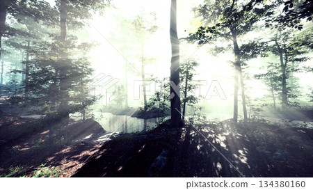 Soft sunlight streams through the branches of tall trees, creating a mystical atmosphere in a peaceful forest. A calm pond reflects the beauty of nature, inviting tranquility. Soft sunlight streams through the branches of tall trees, creating a mystical atmosphere in a peaceful forest. A calm pond reflects the beauty of nature, inviting tranquility. 134380160
