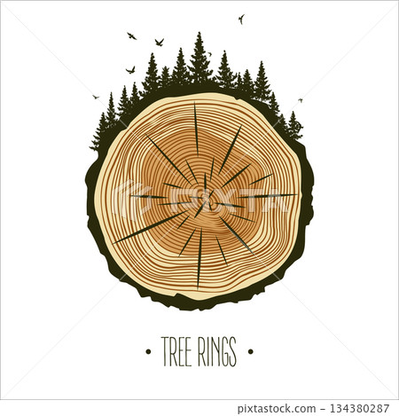 Round tree trunk cut with trees, forest and birds. Sawn pine or oak slice, lumber. Saw cut timber, wood. Brown wooden texture with tree rings. Hand drawn sketch. Vector illustration 134380287
