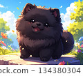 Black Pomeranian cartoon illustration 134380304