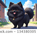 Black Pomeranian cartoon illustration 134380305