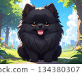 Black Pomeranian cartoon illustration 134380307
