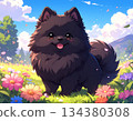 Black Pomeranian cartoon illustration 134380308