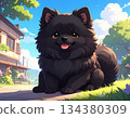 Black Pomeranian cartoon illustration 134380309