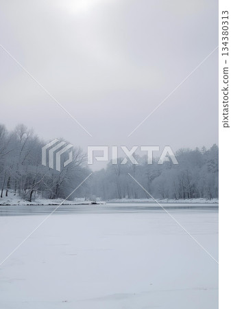 冬日里矗立在雪中的樹木 134380313