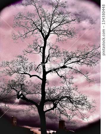 A silhouette of a tree floating in a pink sky. A fantastic and dramatic background material. A silhouette of a tree floating in a pink sky. A fantastic and dramatic background material. 134380448