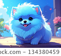 Blue Pomeranian cartoon illustration 134380459