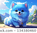 Blue Pomeranian cartoon illustration 134380460