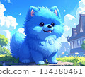Blue Pomeranian cartoon illustration 134380461