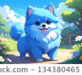 Blue Pomeranian cartoon illustration 134380465