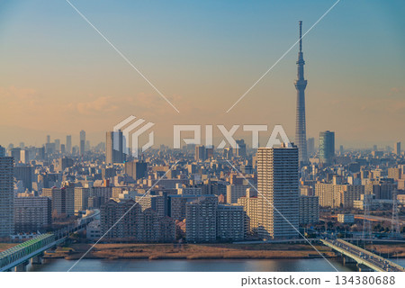 (Tokyo) Tokyo cityscape Sumida Ward, Koto Ward, Edogawa Ward, evening view 134380688