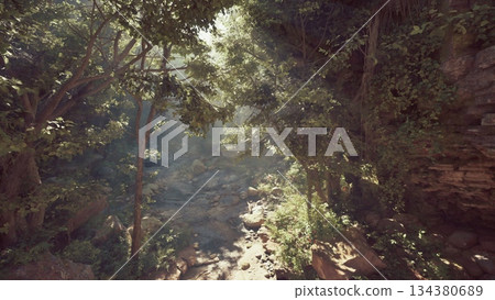 Bright sunlight streams through the tall trees in a peaceful forest. A rocky stream flows gently over stones, surrounded by vibrant green foliage, creating a serene atmosphere. Bright sunlight streams through the tall trees in a peaceful forest. A rocky stream flows gently over stones, surrounded by vibrant green foliage, creating a serene atmosphere. 134380689