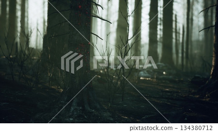 In a dense forest, tall trees emerge from a misty haze, their dark trunks contrasting with soft light filtering through the foliage. Dead branches create a hauntingly beautiful atmosphere. In a dense forest, tall trees emerge from a misty haze, their dark trunks contrasting with soft light filtering through the foliage. Dead branches create a hauntingly beautiful atmosphere. 134380712