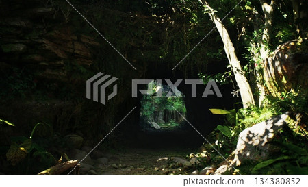 Hidden behind rocky formations, a dark cave leads to a stunning view of vibrant greenery. Sunlight filters through, illuminating the path and surrounding foliage. Natures beauty unfolds invitingly. Hidden behind rocky formations, a dark cave leads to a stunning view of vibrant greenery. Sunlight filters through, illuminating the path and surrounding foliage. Natures beauty unfolds invitingly. 134380852