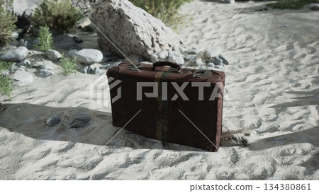 A weathered suitcase sits abandoned on the warm sand, partially hidden among smooth stones and sparse vegetation. Nature reclaims this lost item under the bright sun. A weathered suitcase sits abandoned on the warm sand, partially hidden among smooth stones and sparse vegetation. Nature reclaims this lost item under the bright sun. 134380861