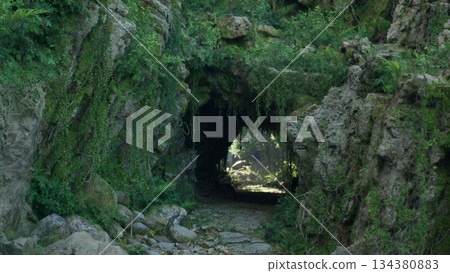 A secret cave entrance invites adventure, draped in vibrant green vines and illuminated by soft sunlight. The rocky path leads into a hidden world waiting to be discovered. A secret cave entrance invites adventure, draped in vibrant green vines and illuminated by soft sunlight. The rocky path leads into a hidden world waiting to be discovered. 134380883