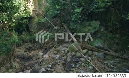 Amidst towering trees and textured rocks, this serene scene showcases a peaceful woodland area. Sunlight filters gently through the leaves, illuminating the lush surroundings. Amidst towering trees and textured rocks, this serene scene showcases a peaceful woodland area. Sunlight filters gently through the leaves, illuminating the lush surroundings. 134380885