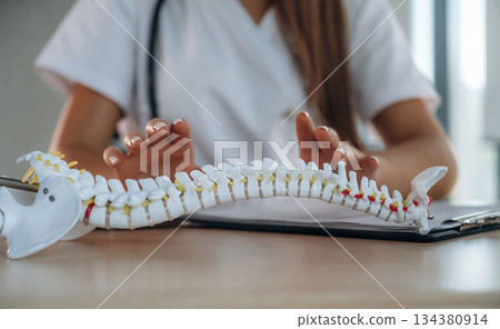 Hands are on the spine model. Professional female doctor in the clinic indoors Hands are on the spine model. Professional female doctor in the clinic indoors 134380914
