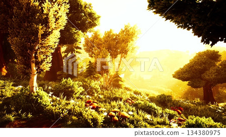 Golden rays of sunlight pour over vibrant green foliage in a serene forest. Colorful mushrooms peek through the grass, creating a magical atmosphere in this tranquil woodland. 134380975