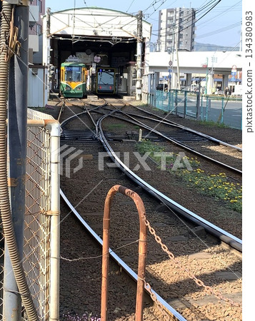 鹿兒島的電車和電車 鹿兒島的電車和電車 134380983