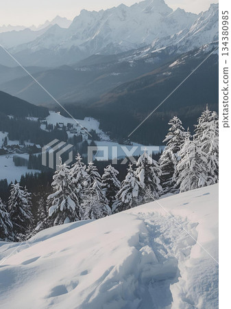 攀登一座多雪的山的登山人 134380985