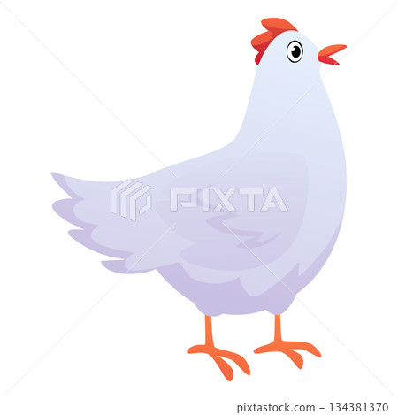 Poultry chicken bird vector flat icon, farm fowl cartoon illustration, cute white hen, country animal for food isolated 134381370