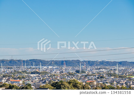 Hamamatsu Cityscape (Shizuoka Prefecture) 134381558
