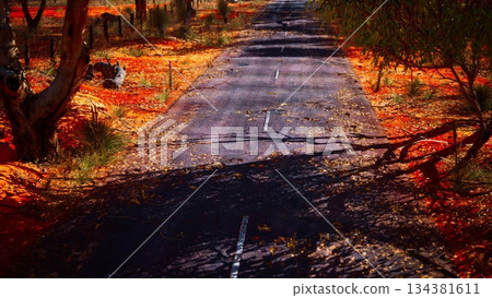 A winding road cuts through the stunning outback, where warm afternoon light highlights the vibrant red earth and shadows of trees play on the pavement, creating a serene, picturesque scene. 134381611