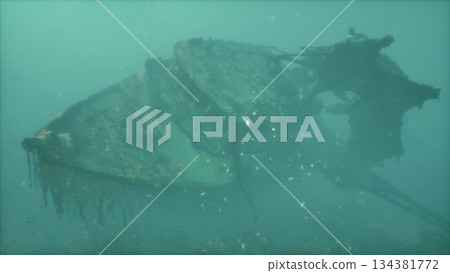 A submerged shipwreck rests on the ocean floor, surrounded by fish and marine life. Time has transformed the vessel into a haunting relic of history, cloaked in seaweed and mystery. A submerged shipwreck rests on the ocean floor, surrounded by fish and marine life. Time has transformed the vessel into a haunting relic of history, cloaked in seaweed and mystery. 134381772