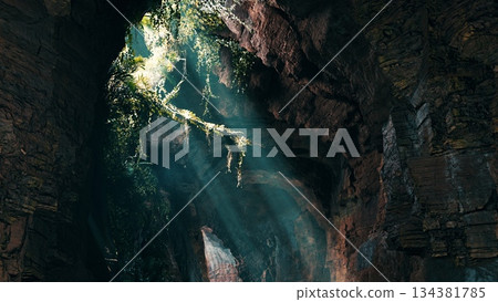 Sunlight streams through the cracks in the cave ceiling, illuminating vibrant, green plants that thrive in the cool, shadowy environment. The serene atmosphere invites exploration. 134381785