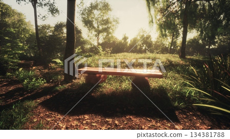 A serene scene unfolds with sunlight filtering through trees, casting soft shadows on a rustic wooden bench in a lush green forest. Natures beauty creates a calm atmosphere. A serene scene unfolds with sunlight filtering through trees, casting soft shadows on a rustic wooden bench in a lush green forest. Natures beauty creates a calm atmosphere. 134381788