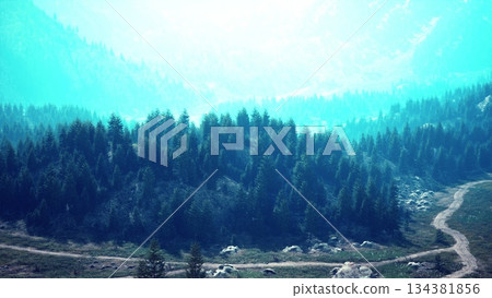 A tranquil forest extends across the mountains, bathed in bright sunlight. The pathway meanders through lush foliage, inviting exploration in natures embrace. A tranquil forest extends across the mountains, bathed in bright sunlight. The pathway meanders through lush foliage, inviting exploration in natures embrace. 134381856