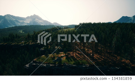 Bright sunlight illuminates a serene mountain landscape filled with towering trees. The green pine forest stretches across rocky cliffs, showcasing natures beauty and tranquility. 134381859