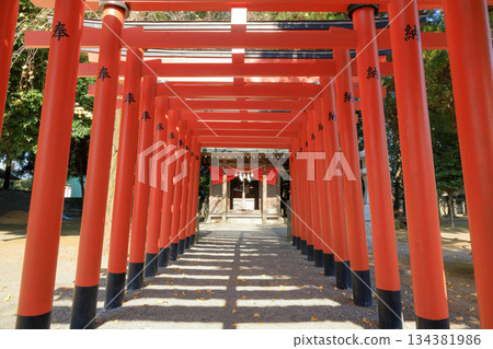 Torii gate of the Inari Shrine branch shrine in Suizenji Jojuen Garden, Kumamoto Prefecture, Kyushu Torii gate of the Inari Shrine branch shrine in Suizenji Jojuen Garden, Kumamoto Prefecture, Kyushu 134381986