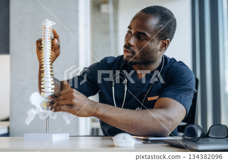 Spine model. Professional doctor is in his office indoors 134382096