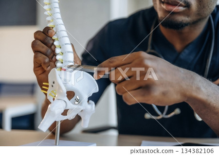 Close up view of spine model that is on the table. Professional doctor is in his office indoors Close up view of spine model that is on the table. Professional doctor is in his office indoors 134382106
