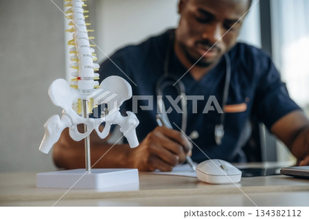 Close up view of spine model that is on the table. Professional doctor is in his office indoors Close up view of spine model that is on the table. Professional doctor is in his office indoors 134382112